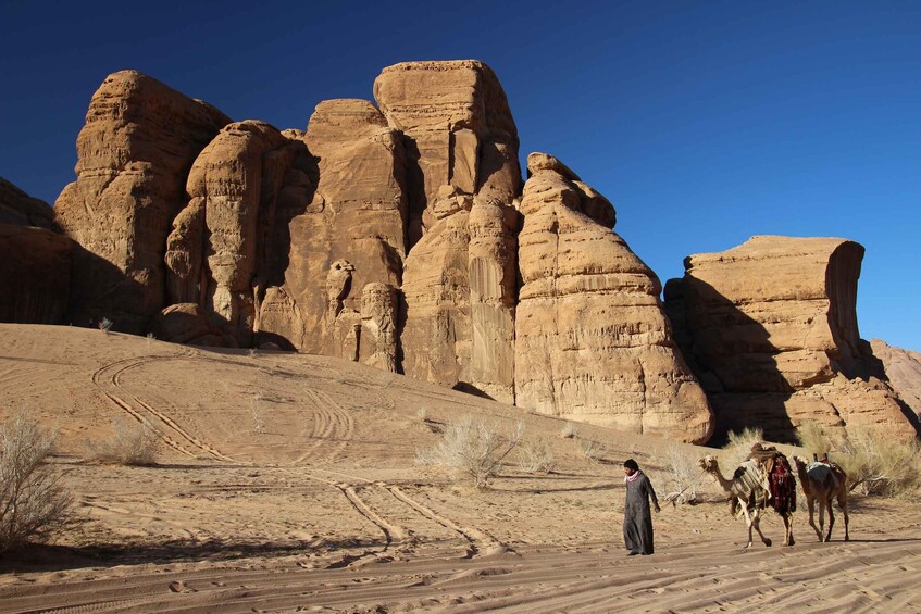 Picture 6 for Activity From Wadi Rum: Camel Ride Experience with Tea and Guide