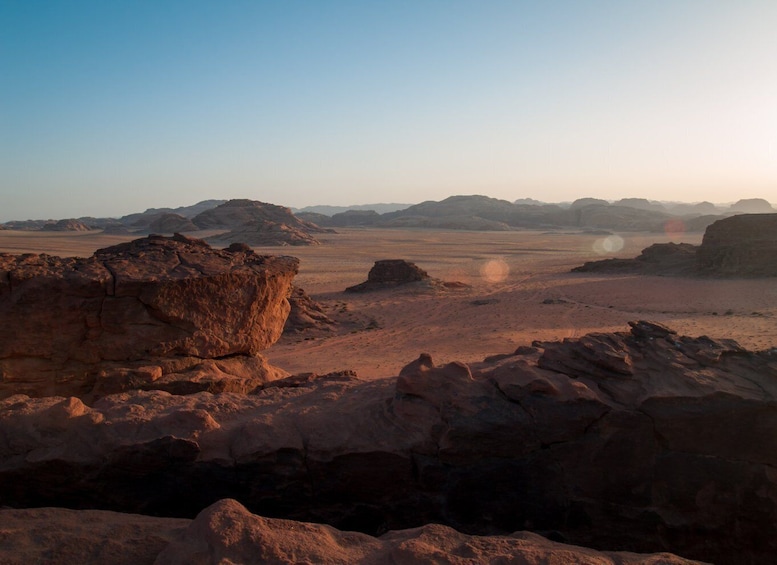 Picture 2 for Activity From Wadi Rum: Camel Ride Experience with Tea and Guide