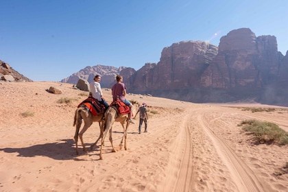 From Wadi Rum: Camel Ride Experience with Drinks