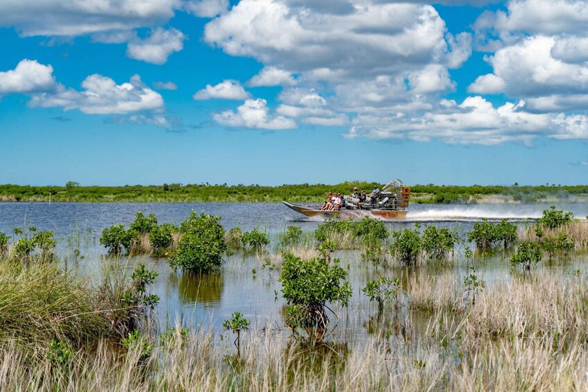 Picture 4 for Activity Everglades: Guided Kayak and Airboat Tour