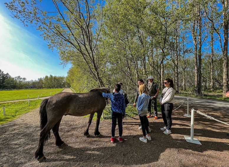 Picture 11 for Activity From Reykjavik: Golden Circle, Friðheimar, & Sky Lagoon Tour