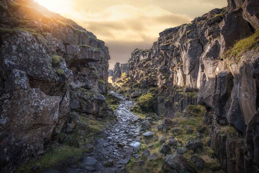 Picture 2 for Activity From Reykjavik: Golden Circle, Friðheimar, & Sky Lagoon Tour