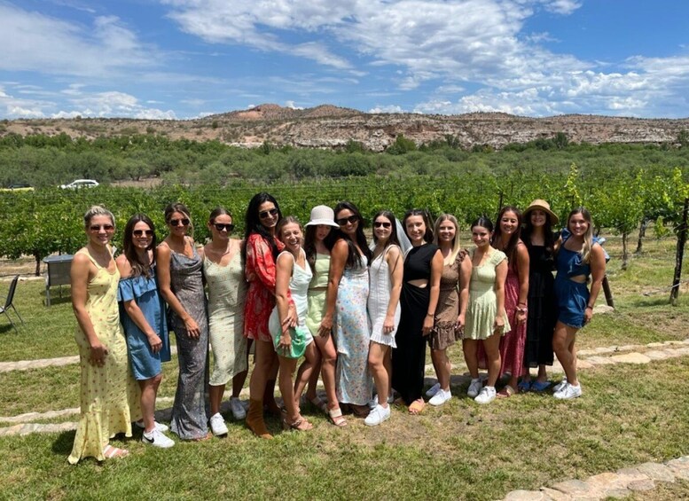 Picture 1 for Activity From Scottsdale: Verde Valley Winery Tour with Picnic