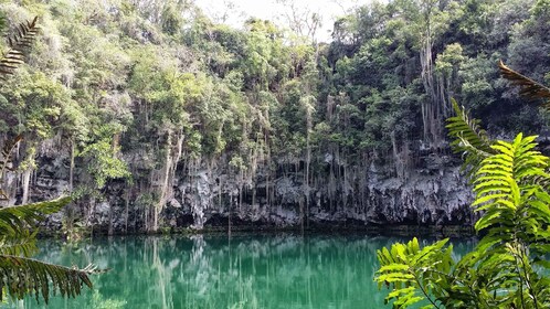 Santo Domingo: Harta Karun Alam Kota