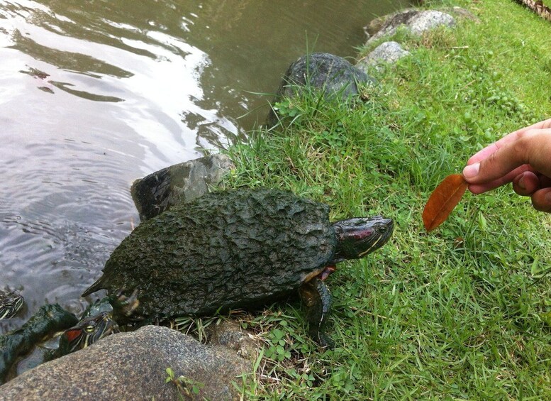 Picture 6 for Activity Santo Domingo: Natural Treasures of the City