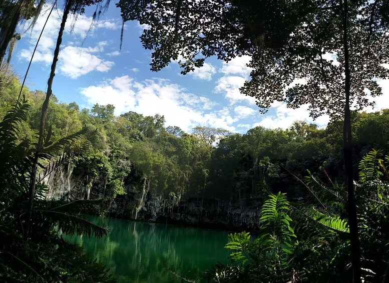 Picture 4 for Activity Santo Domingo: Natural Treasures of the City