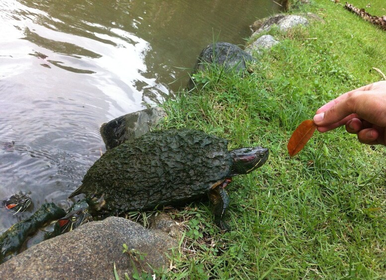 Picture 6 for Activity Santo Domingo: Natural Treasures of the City