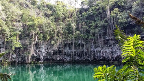 Santo Domingo: Natuurlijke schatten van de stad