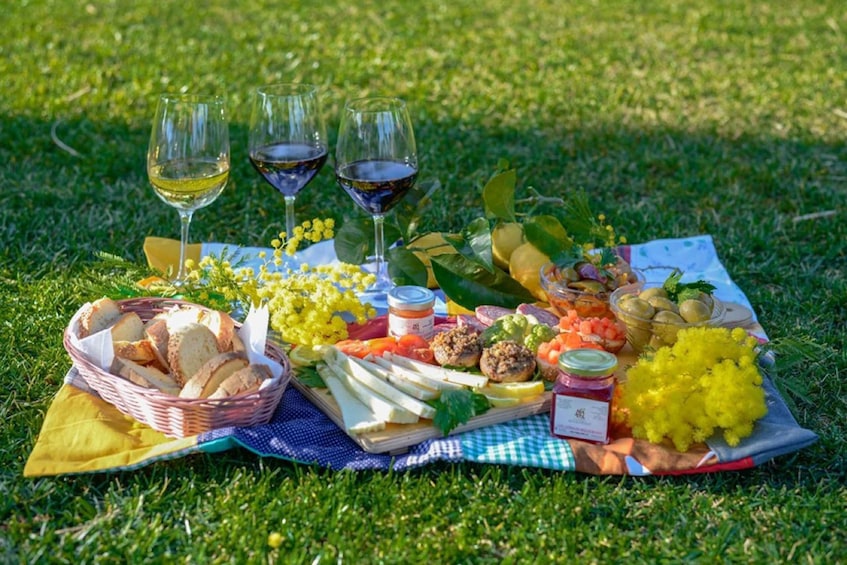 Partinico: Farm Augustali Winery Tour with Picnic & Tastings