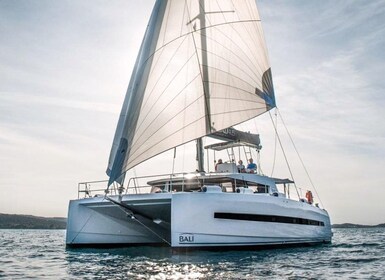 Hersonissos : Catamaran privé à l’île dia avec repas