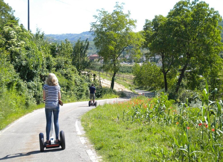 Picture 5 for Activity Alba: Guided Segway Tour through Langhe Hills and Vineyards