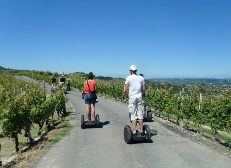 Picture 2 for Activity Alba: Guided Segway Tour through Langhe Hills and Vineyards