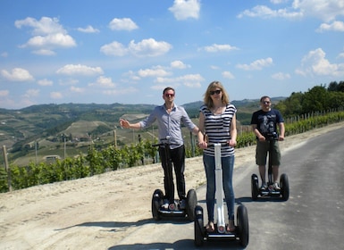 Alba: Guided Segway Tour through Langhe Hills and Vineyards