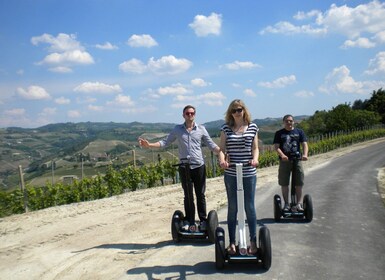 Alba: Guided Segway Tour through Langhe Hills and Vineyards