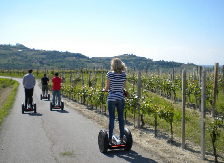 Picture 1 for Activity Alba: Guided Segway Tour through Langhe Hills and Vineyards