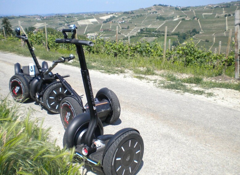 Picture 6 for Activity Alba: Guided Segway Tour through Langhe Hills and Vineyards