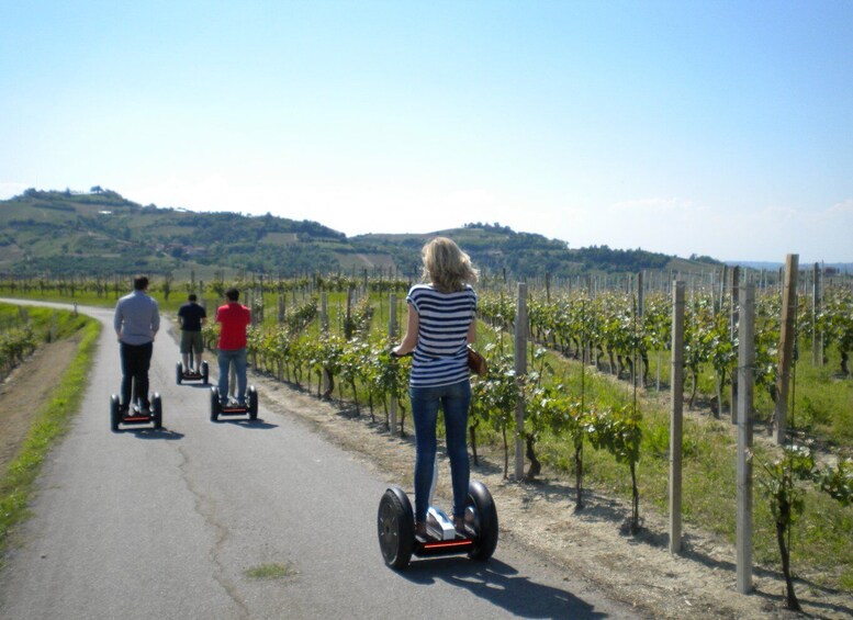 Picture 1 for Activity Alba: Guided Segway Tour through Langhe Hills and Vineyards