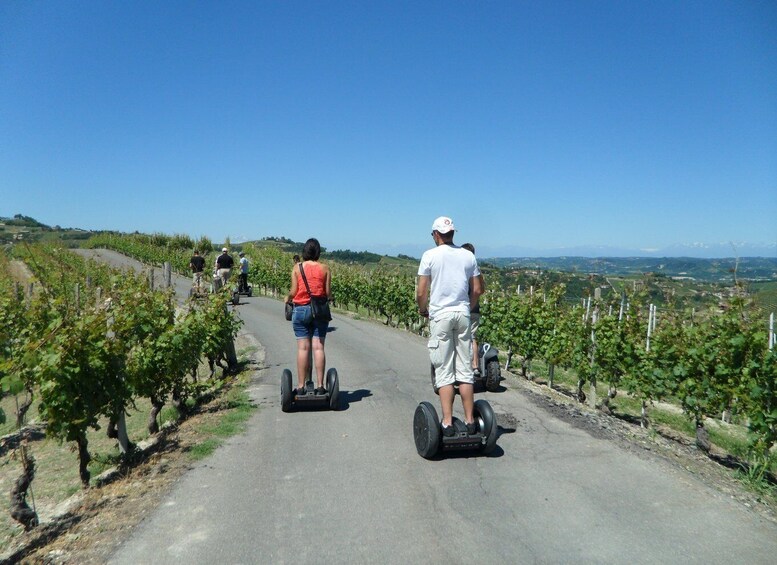 Picture 2 for Activity Alba: Guided Segway Tour through Langhe Hills and Vineyards