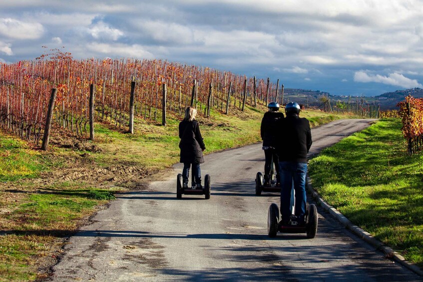 Picture 3 for Activity Alba: Guided Segway Tour through Langhe Hills and Vineyards