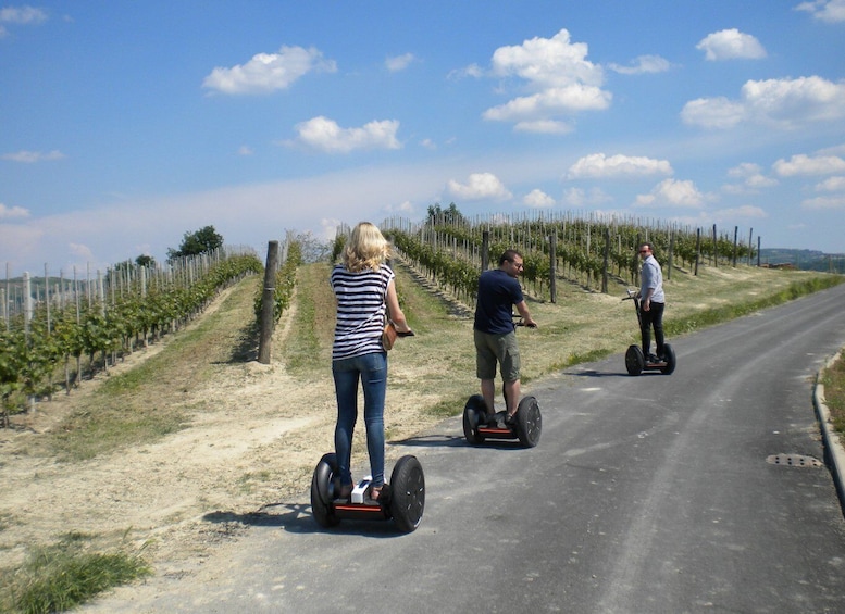 Picture 7 for Activity Alba: Guided Segway Tour through Langhe Hills and Vineyards