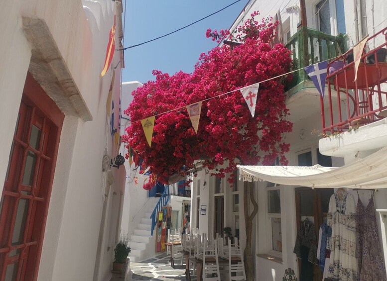 Picture 4 for Activity Mykonos: Private Tour with Range Rover