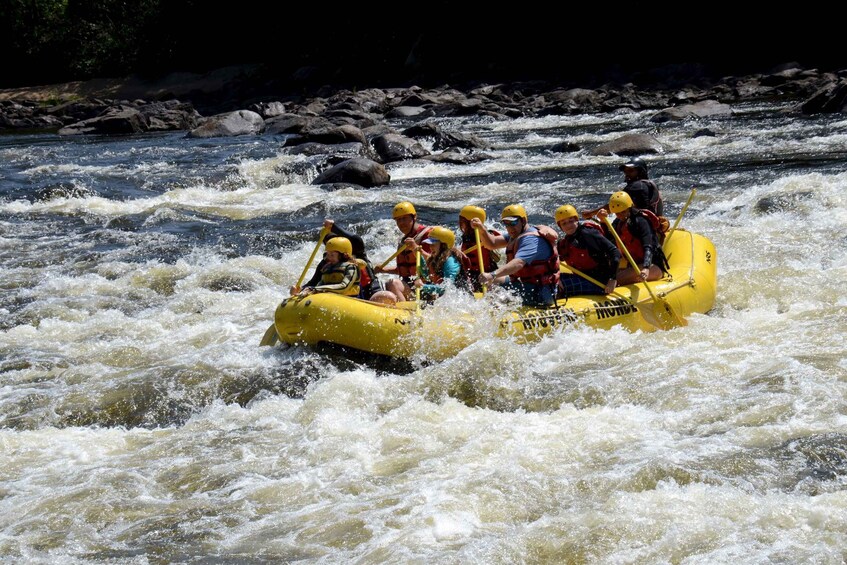 Picture 4 for Activity Mont-Tremblant: Full day of Rouge River White Water Rafting