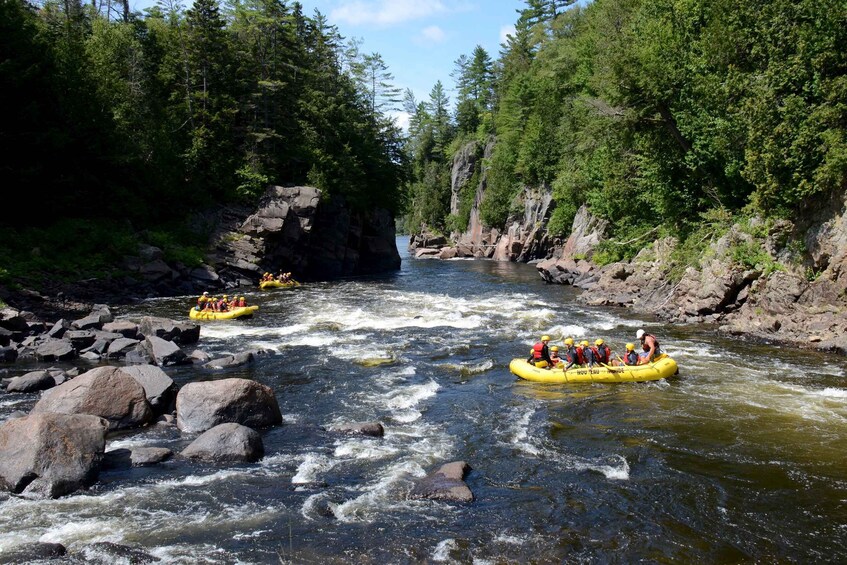 Picture 2 for Activity Mont-Tremblant: Full day of Rouge River White Water Rafting