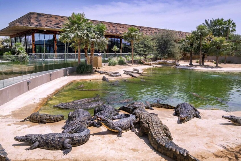Picture 6 for Activity Dubai: Dubai Crocodile Park Entry Ticket
