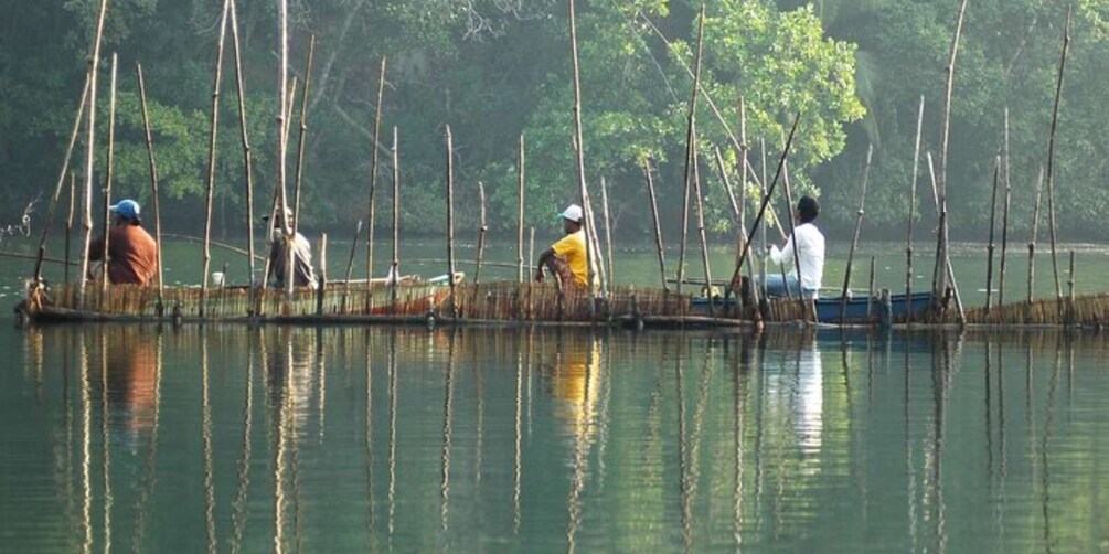 Picture 2 for Activity Complete River Fishing Adventure on Balapitiya River