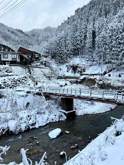 Picture 9 for Activity Snow monkeys Zenkoji temple one day private sightseeing tour