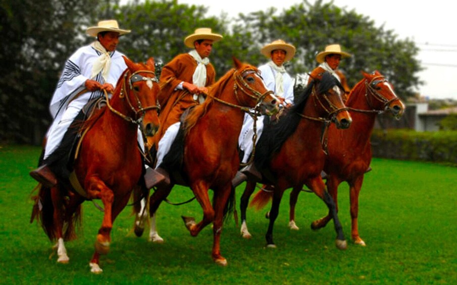 Picture 3 for Activity From Lima: Sanctuary of Pachcamac & paso horse