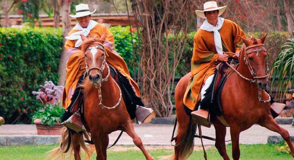 Picture 5 for Activity From Lima: Sanctuary of Pachcamac & paso horse