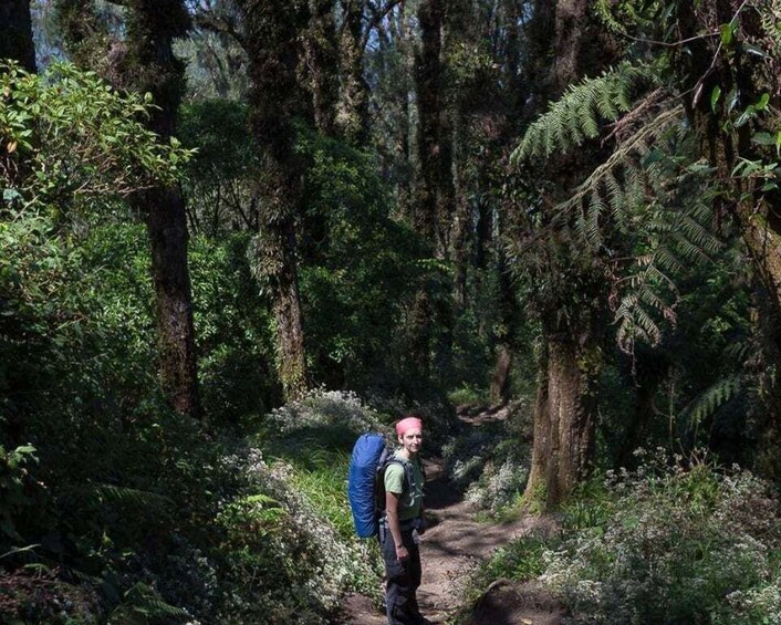 Picture 4 for Activity Bali's Mount Abang Expedition: Guided Hike