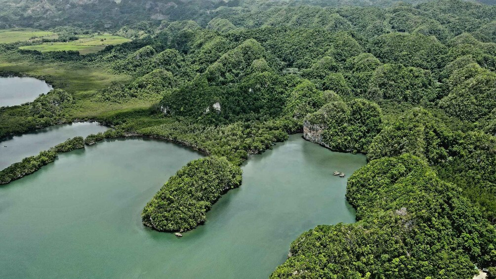 Picture 5 for Activity Private: Los Haitises & Cayo Levantado from Samana