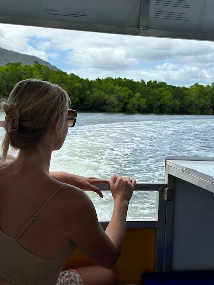 Picture 5 for Activity Cairns: Sightseeing River Boat Safari with Soft Drinks