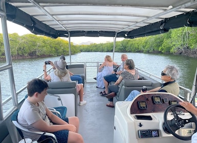 Cairns: Sightseeing River Boat Safari with Soft Drinks