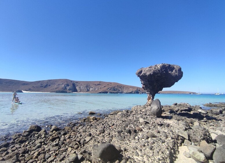 Cabo San Lucas: Balandra Beach and City Tour