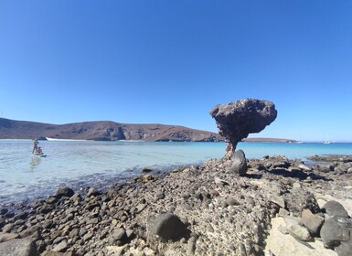 Cabo San Lucas: Balandra Beach and City Tour