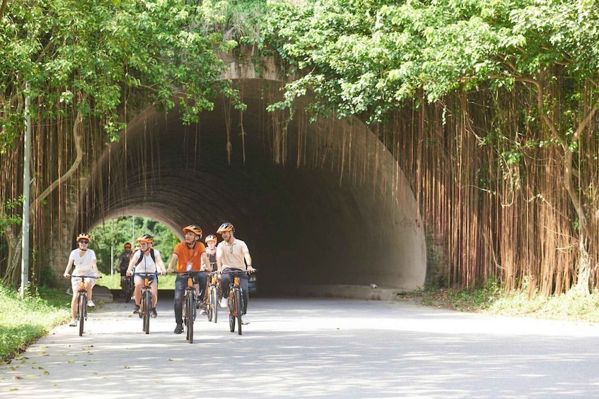 Picture 7 for Activity Hoa Lu - Tam Coc - Mua Cave / Limousine Transfer