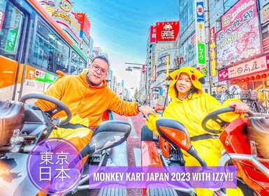 Tokyo: Tour della città in go-kart con attraversamento di Shibuya e foto