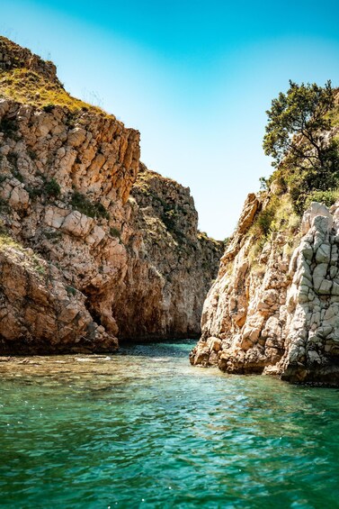 Picture 6 for Activity Wild Bays of Krk Island: A private half day boat tour