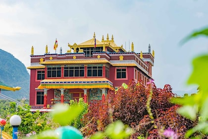 Afternoon Tibetan cultural tour