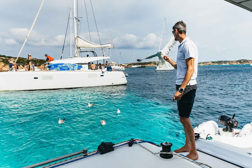 Picture 14 for Activity From Palau: La Maddalena Archipelago Catamaran Tour w/ Lunch