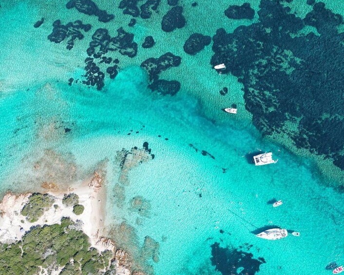 Picture 4 for Activity From Palau: La Maddalena Archipelago Catamaran Tour