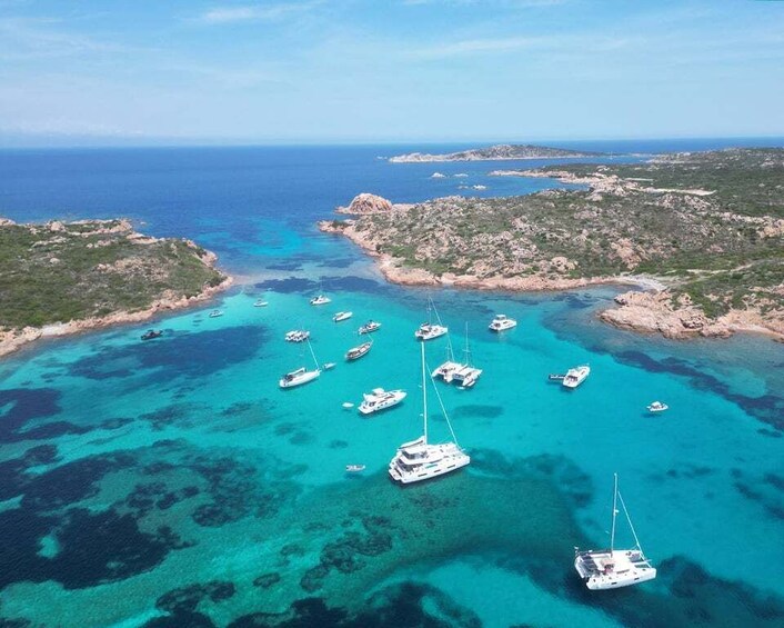 Picture 18 for Activity From Palau: La Maddalena Archipelago Catamaran Tour