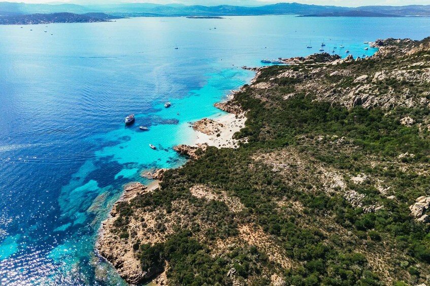 Picture 11 for Activity From Palau: La Maddalena Archipelago Catamaran Tour w/ Lunch