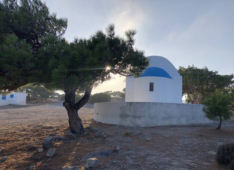 Picture 2 for Activity Kos : Off the Beaten Track Tour in Kefalos & Cavo Paradiso