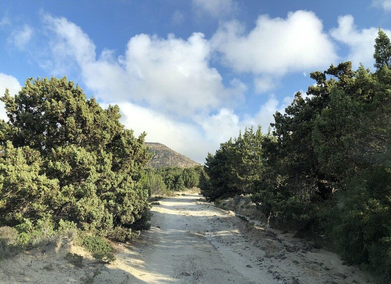 Picture 13 for Activity Kos : Off the Beaten Track Tour in Kefalos & Cavo Paradiso