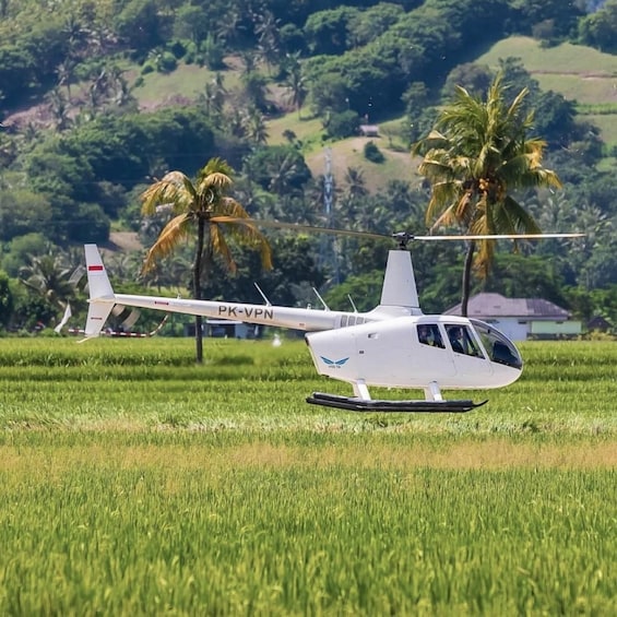 Bali Skybound: Helicopter Adventure Tour