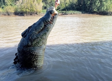 The best tour of Litchfield and the Giant Crocodiles. ITA